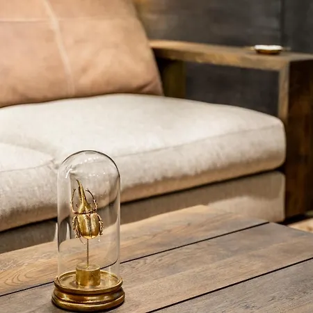 Reina Apartments * Belgrad